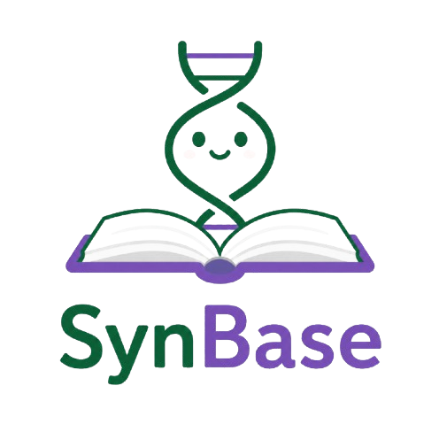 SynBase